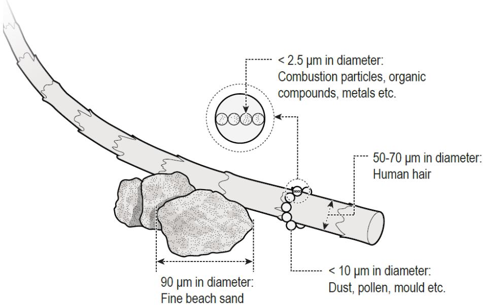 Dust particle sizes